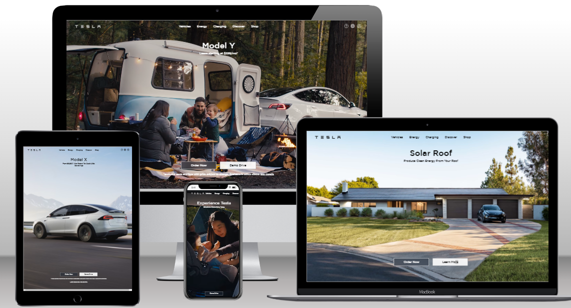 Tesla Clone Snapshoot